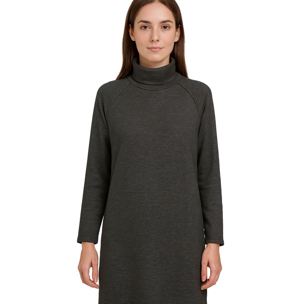 Arlena Samt-Turtleneck Kleid
